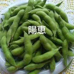 新鮮❢　枝豆【陽恵】約550g　農薬不使用のサムネイル