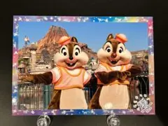 TDS ディズニー スペフォ チップとデール