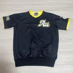 Item thumbnail for item 2d0d3700-e34a-4292-a43d-50676bdd3420