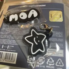 TXT アクリルチャーム　スビン