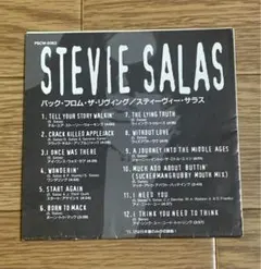 Stevie Salas The Electric Pow Wow CD - メルカリ