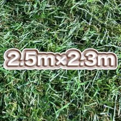아이리스 오야마 인조 잔디 2.5m x 2.3m 리얼 인조 잔디