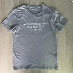 Abercrombie & Fitch グレー Tシャツ Mメンズアバクロ