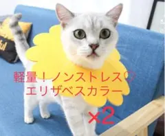 Item thumbnail for item db32cfa8-f37e-4bb4-9966-ad42436815bd