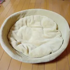 Item thumbnail for item 258ffcf2-486a-4d08-bf32-bbeb730f65f7