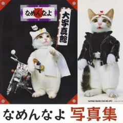 貴重】なめ猫 写真集 なめんなよ 大写真館 1994年発行 初版 ねこの写真