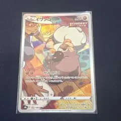 イワンコ CHR s8b 202/184 ポケモンカード