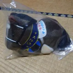 【超美品】アヴァンティ Sサイズ 廃盤 第５１回 有馬記念 ディープインパクト