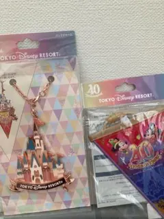 未使用ディズニーリゾート限定ドリームガーランドとシンデレラ城バッグチャームセット
