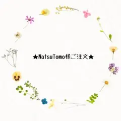 ★NatsuTomo様ご注文ページ★