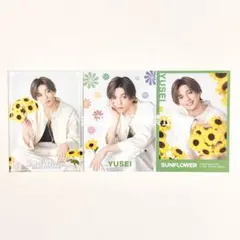 FANTASTICS 八木勇征 フォトカ シクレ（SUNFLOWER）