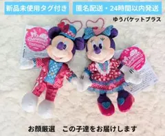 ミニーのファンダーランド ぬいば ぬいぐるみバッジ ミッキー ミニー