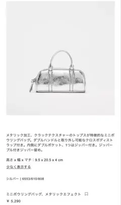 2026年最新】ボウリングバッグ zaraの人気アイテム - メルカリ