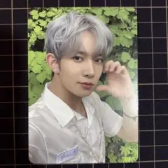 ヒスン　トレカ