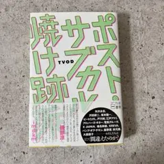 「ポスト・サブカル焼け跡派」 TVOD