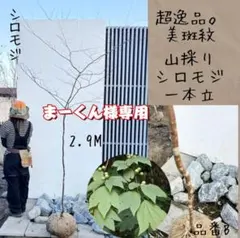 まーくん様専用リクエスト2点