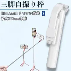 Item thumbnail for item 908db381-f31a-4541-a6cc-84be4024cb4c