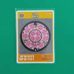 Item thumbnail for item defd9425-a6a5-4f78-a75e-fb3f42551183