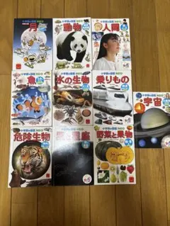 マック絵本　19冊まとめ売り　小学生の科学 NEO & 絵本セット
