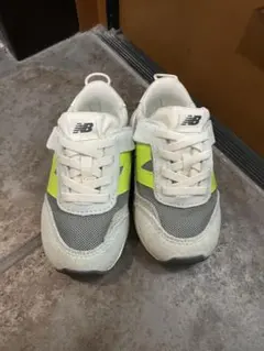 Item thumbnail for item fa43f92f-9b66-4a4e-b9b3-a9219672643c