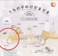 うちの子のけだまだま　シャム猫　正規品