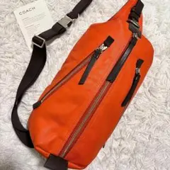 2026年最新】coach slingの人気アイテム - メルカリ