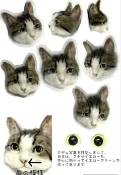 Item thumbnail for item 34be8e29-24eb-4cc5-95b8-1d9e4838e258