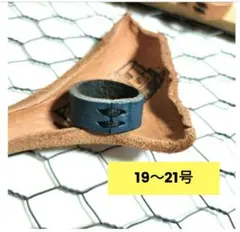 Item thumbnail for item 1b018403-9ae9-4e81-991d-d444e960cdf4