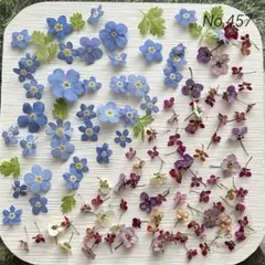 A75/504 薄花 ジニアのプリザーブドフラワー 花材セット 詰め合わせ