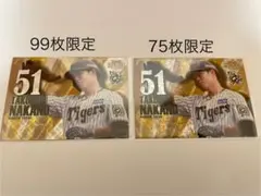 Item thumbnail for item e539509c-34bb-412f-b20c-752eb757071d