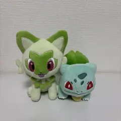 ポケモン 一番くじ きゅんぐるみ フシギダネ＆ヒトカゲ&ゼニガメ御三家