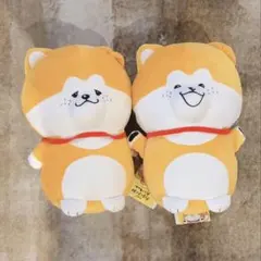 秋田犬 たれみみだいちゃん　ぬいぐるみBIG