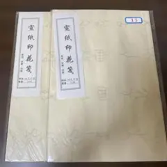 中国宣紙 印花箋 安徽涇県 四尺半切 10枚X2書道水墨画 文房四宝 書道 
