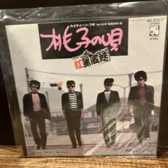 藤圭子 木の実会音頭 非売品 7インチ レコード 田中角栄 木村武雄 自主