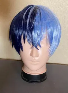 プロジェクトセカイ プロセカ 青柳冬弥 コスプレ ウィッグ プロジェクトセカイ カラフルステージ! feat. 初音ミク プロセカ