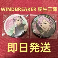 ウィンドブレーカー ウィンブレ 桐生三輝 缶バッジ サイバーチャイナ