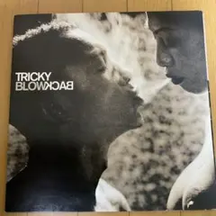 2026年最新】tricky LPの人気アイテム - メルカリ