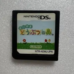 ニンテンドー DS おいでよ どうぶつの森 ソフト