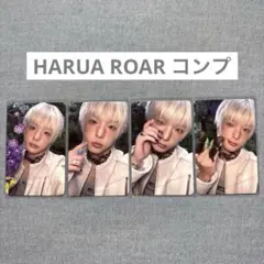 &team harua タレントカード