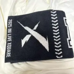 INI XQUARE 西洸人 タオル