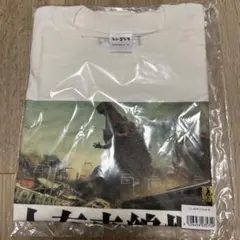 Item thumbnail for item 9ad05411-7a45-47b0-a6ce-0ea5ff20d257