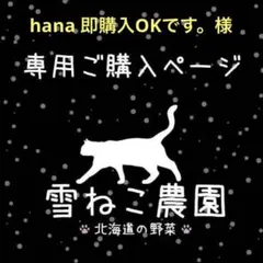 hana 即購入OKです。様 リクエスト 2点（在庫処分大葉ニラ、万能小ネギ）