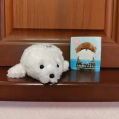 Item thumbnail for item 56881448-069d-41b9-995a-b48a4f3b8c2e