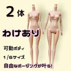 【２体セット】可動ボディ 球体関節 BJD オビツ ピュアニーモ ドール