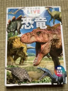 Item thumbnail for item f22924ed-79f8-42aa-a0cc-adea199a3d28