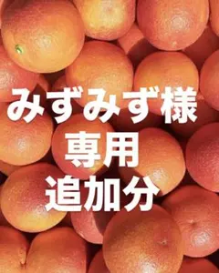 みずみず様　専用　東北地方　追加送料