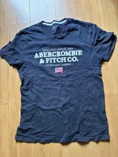 Abercrombie & Fitch Tシャツ Sサイズ ダークグレー
