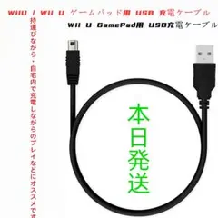 WiiU / Wii U ゲームパッド用 USB 充電ケーブル