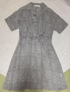 Ray Cassin シャツワンピース Fサイズ