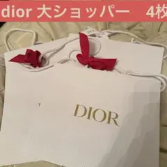 新品未使用　ディオール 大のショッパー　4つ